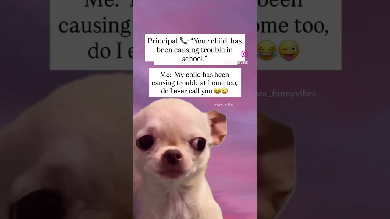 Tell me something I didn’t know! 🤣