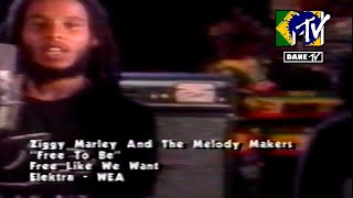 Ziggy Marley - Free Like We Want 2 B