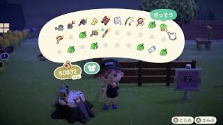 あつまれどうぶつの森のんびり配信５