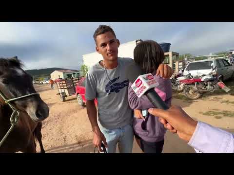 Feira de Cavalos em Senador Rui palmeira - AL 28 - 07 - 2026 #nordeste