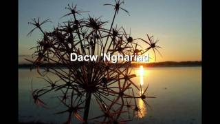 Eve Goodman - Dacw 'Nghariad [Welsh folk song]