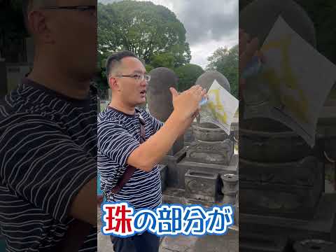 耐寒性のある墓の植栽:ヒントとアイデア トピックス