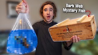 DON&#39;T BUY LIVE FISH OFF THE DARK WEB... (what&#39;s inside?)