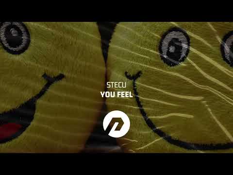Stecu - You Feel [House]