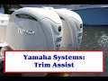 How To Use Yamaha Trim Assist To Optimize Boat Performance