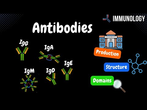 immunglobulin a kerek féreghez