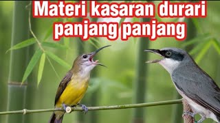Download lagu MASTERAN KASARAN VIRAL | pijantung pisang vs jinjing petulak mp3 Download lagu MASTERAN KASARAN VIRAL | pijantung pisang vs jinjing petulak mp3