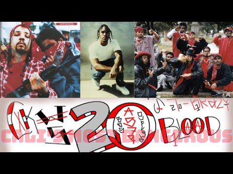 Who are the Rollin 20s Neighborhood Bloods? One of LA's most dangerous and hated gangs | NHB vs RTC
