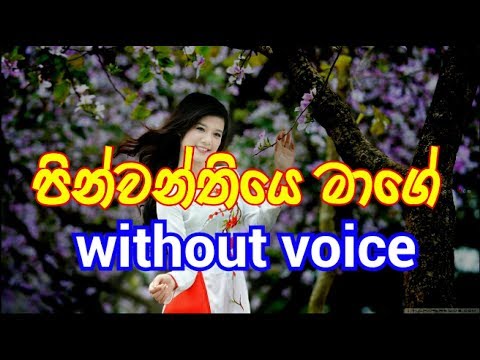 Pinwanthiye Mage Karaoke (without voice) පින්වන්තියෙ මාගේ
