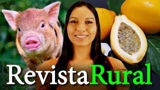 Miniatura do vídeo
