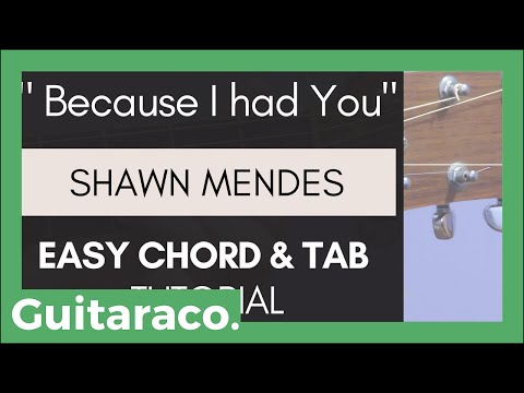 Shawn Mendes - Because I had You // EASY Guitar Tutorial (Chords & TAB)