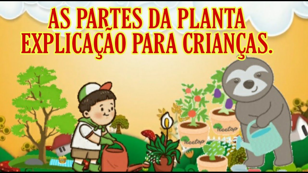AS PARTES DA PLANTA E SUAS FUNÇÕES/ Explicação simples para crianças.