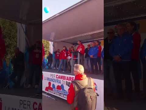 Borgogni Rsu Fiom Cgil Beko Siena alla manifestazione a Firenze