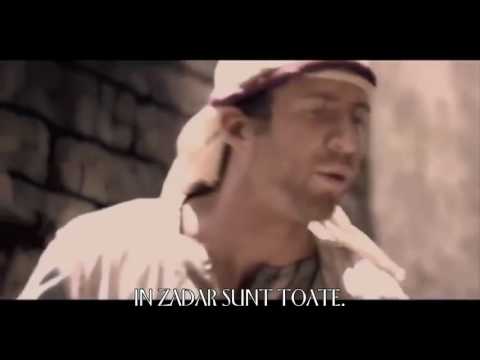 VIOREL DIN BUZAU   ŞI LA CE ŢI AR FOLOSI  Muzica Crestima