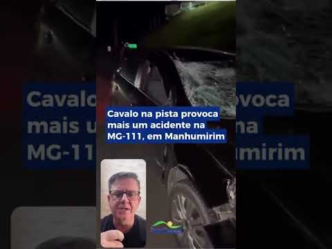 Mais um acidente envolvendo cavalo solto na pista em Manhumirim