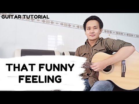 That Funny Feeling - Phoebe Bridgers