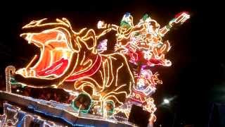 preview picture of video 'Lichtjesparade Standdaarbuiten - Carnavals optocht 2014'