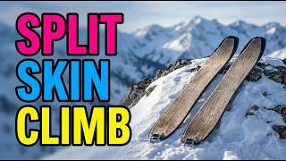 TOP 5 Best Splitboard Climbing Skins 2026 | For Efficient Uphill Travel in the Backcountry