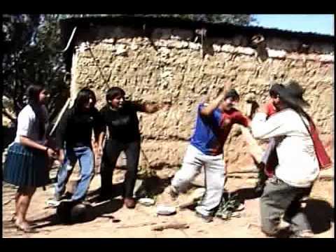 LOS FELIDOS - LLULLA CHOLITAY