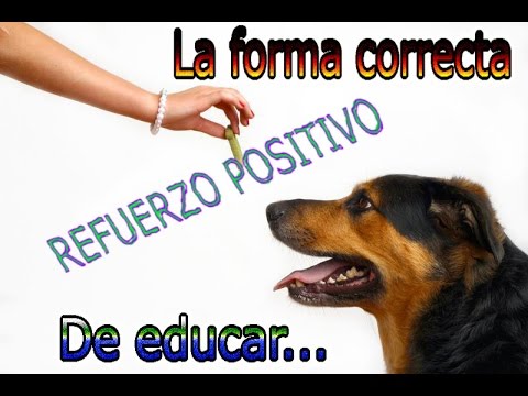 La forma correcta de educar | Refuerzo positivo