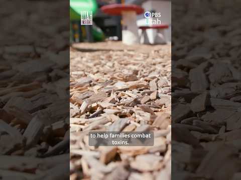 Free Salt Lake County Health Programs | Great Salt Lake Dust | Utah Insight | Dec. 8, 2025