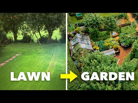 Tiny Yard Container Garden How to Grow 1 000 of Food