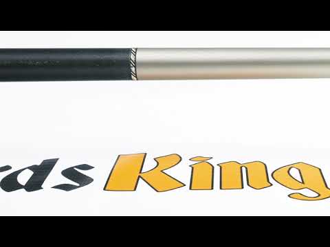 Rage RGC6 Pool Stick - Cue View 360 - 4K Ultra HD Rotating 360 Degree Pan & Zoom