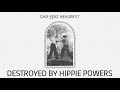 Destroyed by Hippie Powers by Car Seat Headrest