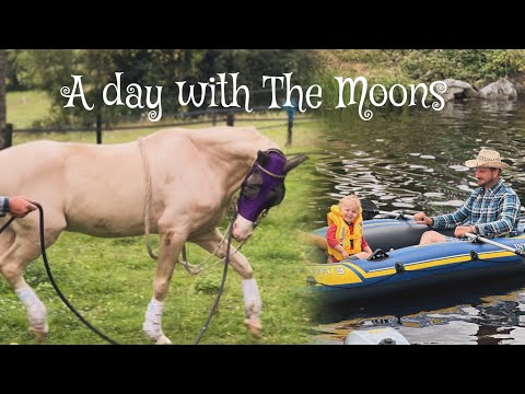 A day in our life & looking after our Retired  horses
