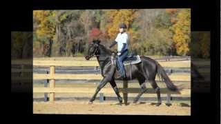 preview picture of video 'Standardbred Retirement Foundation Open House October 21, 2012'