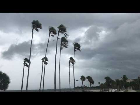 Tropical Storm Cindy Outer Bands St. Petersburg Tampa Bay Florida June 19, 2017- Water, Wind, Waves