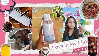Days in my Life: Doodle pen, dog's b'day, exfoliating night, healthy salad | living in India🇮🇳🍃
