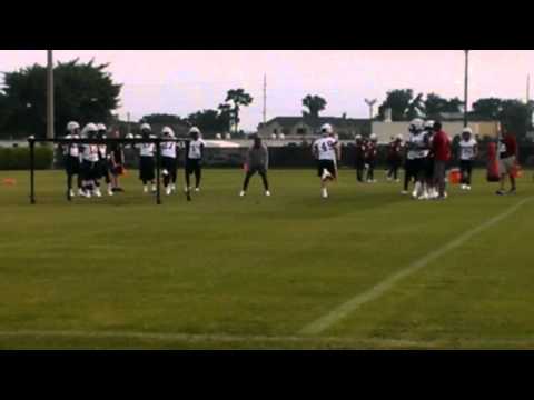 Gamecocks Fall Practice - Defensive backs