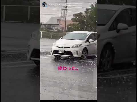 あなたの庭を雹から守るにはどうすればよいですか？被害を最小限に抑える5つの解決策＋その後の対処法！  庭園