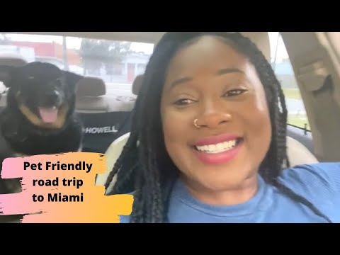 image-Where can I stay in Miami with my dog?