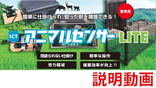 箱罠の捕獲率アップに!アニマルセンサーライト(廉価版 箱罠の捕獲率アップに!アニマルセンサーライト(廉価版