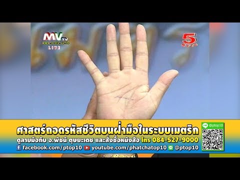 ออกจากเล็ก ๆ น้อย ๆ สมาชิกเมือก ผึ้งที่มีความอ่อนแอ