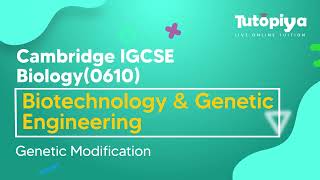 Genetic Modification