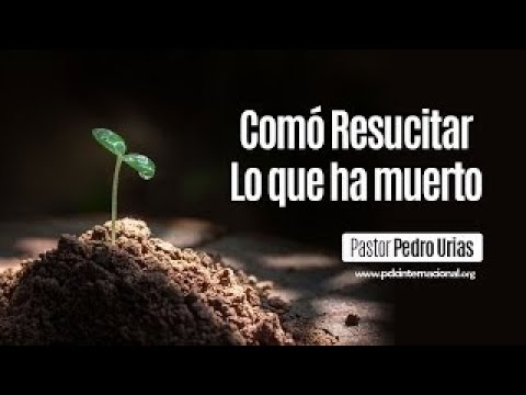 JUSTAV - Vamos A Resucitar Los Muerto [OUT NOW!] [#MSSA011]