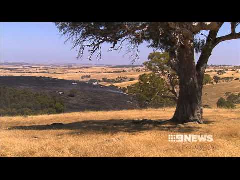 HILLS FIRE SCARE - 14/12/2013