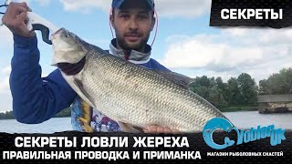 Секреты ловля жереха весной на десне