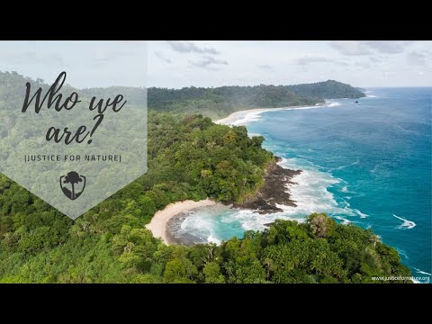 Oko tygra - chráníme deštný prales a poslední tygry před pytláky