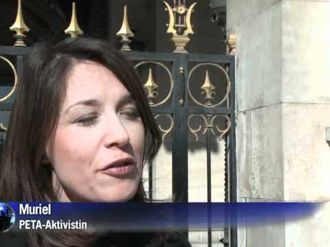 Tierquälerei für den Luxus? Streit um Pelze in der Mode