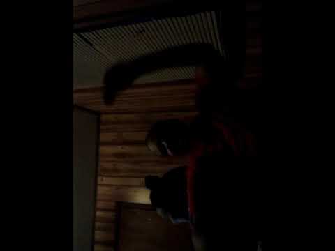 DumbCake- Booty Scoot