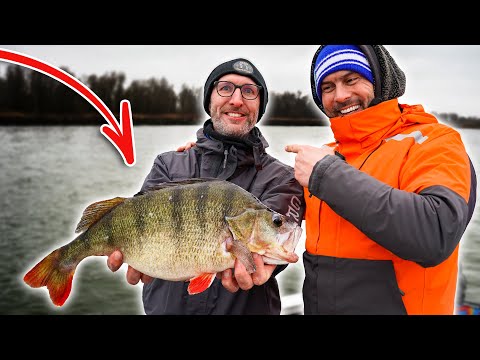 BARSCH-ESKALATION im YPC-Training!?