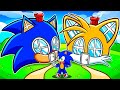 Casa De SONIC Vs Casa De TAILS En Roblox