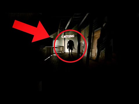 10 Most Terrifying Mimic Encounters Caught on Camera (Part 2)