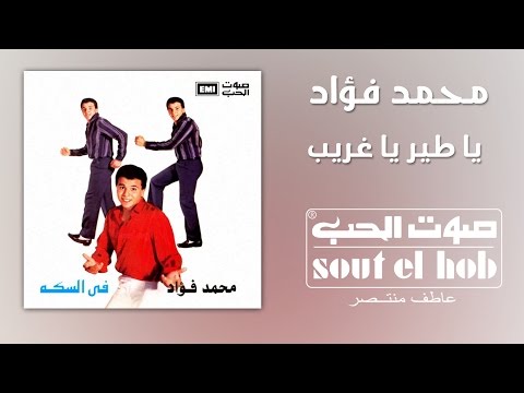 يا طير يا غريب محمد فؤاد