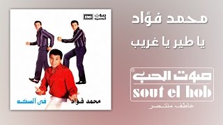 كلمات اغنية يا طير يا غريب محمد فؤاد