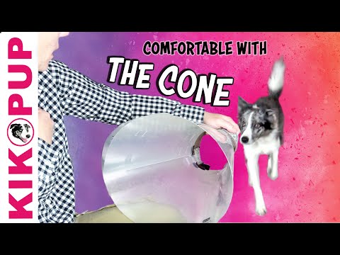 STOP UNWANTED behaviors with BACK UP